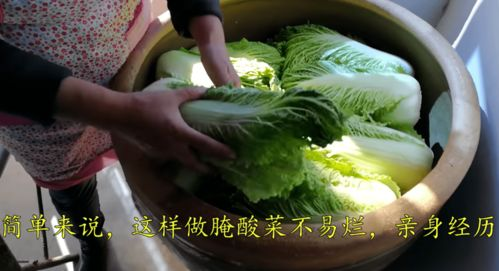 《萝卜泡菜》：一道治愈心灵的韩式家常菜