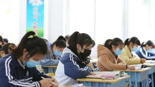 《萌宝出生第一年》：新手爸妈的崩溃与治愈实