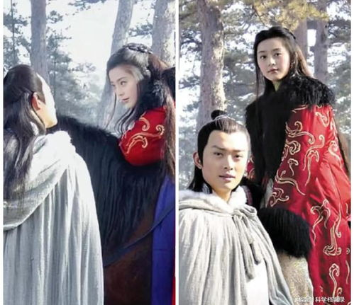 《萍踪侠影黄海冰版》：武侠经典再现，侠骨柔