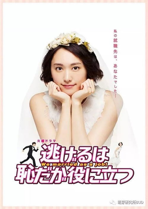《萤之光第二季》：宅女恋爱进化论还是职场生