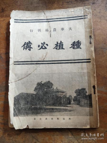 《荣归》：一部跨越时代的家国情怀史诗