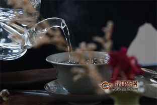 《茶金》：一杯茶里的时代悲欢与人性挣扎