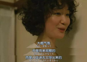 《萤之光第一季》：宅女与部长的爆笑同居生活