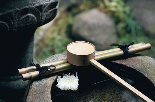《茶金》：台湾茶农的奋斗史诗，还是时代洪流