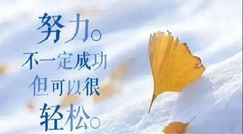 《荆棘 小市民仓永晴之的逆袭》：平凡人的逆袭