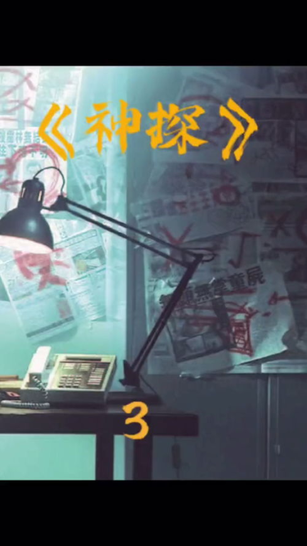 《范·德·沃克第四季》：荷兰侦探的致命游戏，