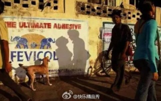 斗球体育直播app下载ios,斗球体育直播下载苹果是官方