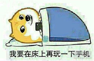 免费的看足球app,免费的看足球比赛的网站