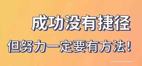 雨燕免费直播在线观看直播足球,雨燕免费直播在线观看直播NBA
