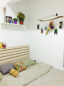 足球直播在线观看高清直播免费版,免费足球比赛在线观看
