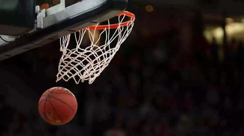 雨燕360体育免费直播nba 官方版,雨燕免费直播在线观看高清足球