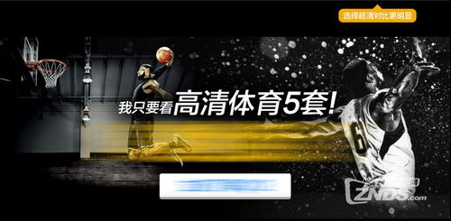 雨燕直播体育免费直播下载,雨燕直播体育直播下载安卓
