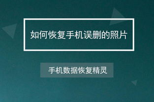 足球直播app排行榜前十名,足球直播最好用的app软件
