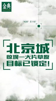 绿茵体育足球直播在哪看,绿茵足球官网