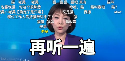 欧洲杯决赛直播cctv5直播,欧洲杯决赛直播回放