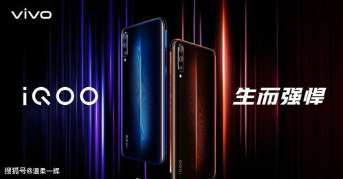 免费观看欧冠直播app,欧冠直播免费高清极速在线观看