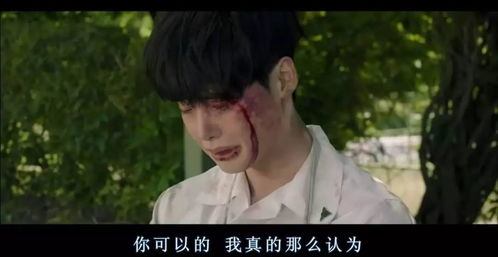看球赛的直播app免费的下载安装,看足球直播哪个app好免费下载