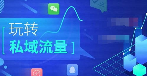 绿茵体育官网下载,绿茵体育足球装备店怎么样
