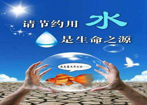 世俱杯直播免费在哪里观看,世俱杯直播视频