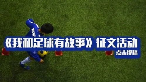 世俱杯直播视频,怎么看世俱杯直播视频