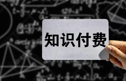 足球直播高清免费观看,今日足球直播高清免费观看