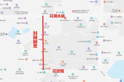 蓝鲸体育app下载苹果版官网,蓝鲸体育苹果手机下载