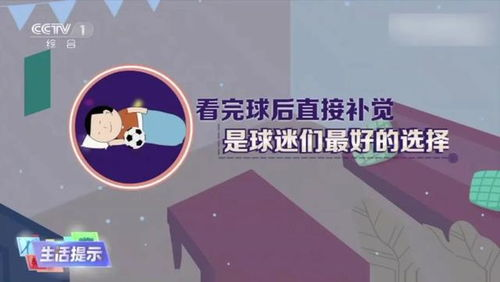 绿茵足球免费观看入口网站,绿茵足球官网