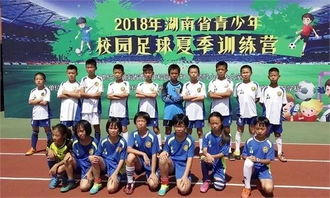 绿茵足球队,绿茵足球队场官网首页