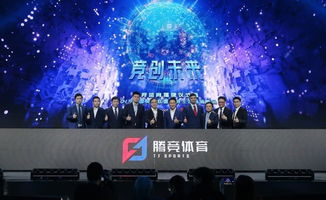 雨燕直播足球免费直播官网,雨燕直播足球免费直播官网网址