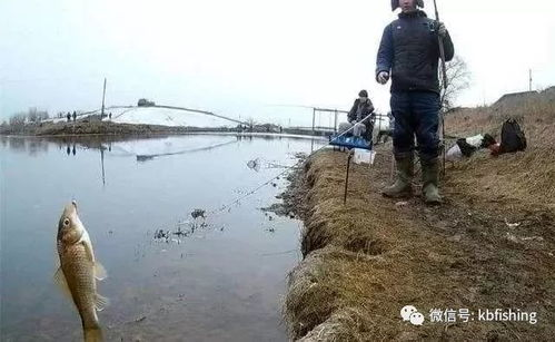 梦幻西游钓鱼攻略，提升效率与乐趣-技巧详解手游源码网_手游发布网_手游源码库_手机游戏网三六版本库