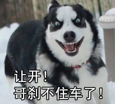 电商插件哈士奇安装指南-快速上手步骤解析手游源码网_手游发布网_手游源码库_手机游戏网三六版本库