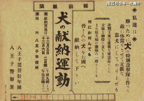 永州之野产异蛇,黑质而白章,永州之野产异蛇黑质而白章触草木尽死翻译