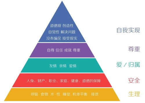 昆明会展经济新活力：解析伊朗客商6天辗转参展全程