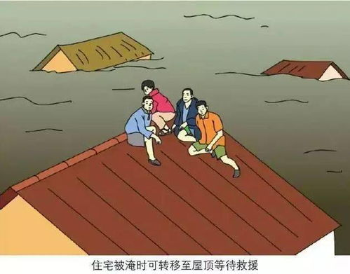 贵州榕江洪水应对策略与灾后恢复解析