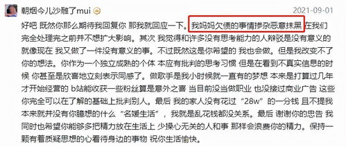 个人欠债不还能拘留吗，法律解析与应对策略