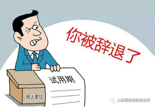 新劳动法辞退员工补偿规定详解-企业应对策略与员工权益保障