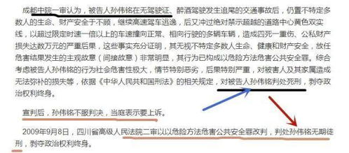 欠100万判刑多少年-法律解析与责任界定