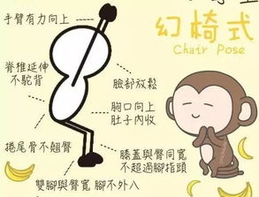 精准健身,避免盲目训练-科学健身方法解析
