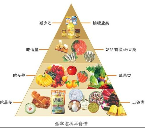 健康饮食,均衡营养-五种饮食习惯助您远离疾病困扰