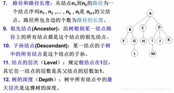 寻衅滋事与故意伤害罪的区别及法律解析