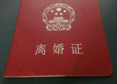 离婚证丢失办理离婚手续指南-详细步骤与材料准备