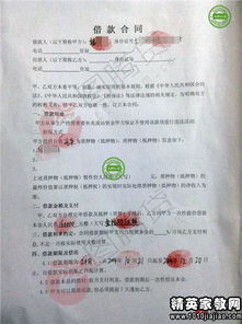 保险合同违约利息索赔指南，维权路上不再迷茫