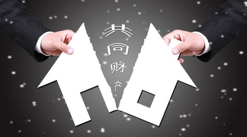 父母出钱买的车子,离婚时的财产分配解析