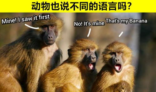 《新鲜动物园》：一部让你笑中带泪的奇幻喜剧