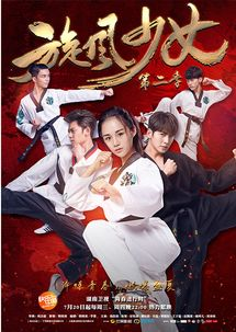 《旋风管家剧场版》：一场笑泪交织的青春冒险