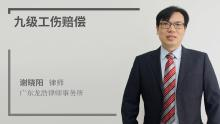 62岁工伤9级伤残赔偿标准详解