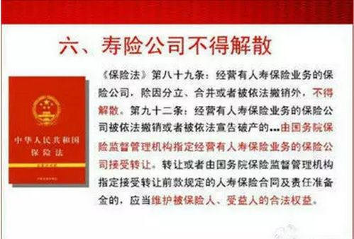 保险合同诉讼费用承担解析