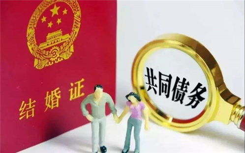 夫妻共同债务能否约定一方承担？