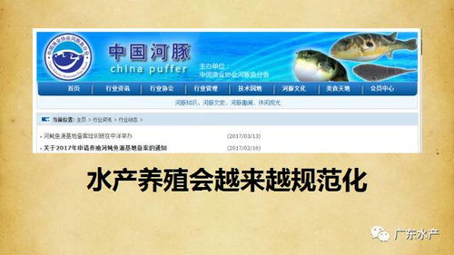 买到假药如何投诉：维权指南
