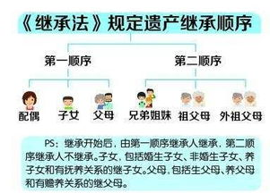 全面解析继承老人财产的条件与流程